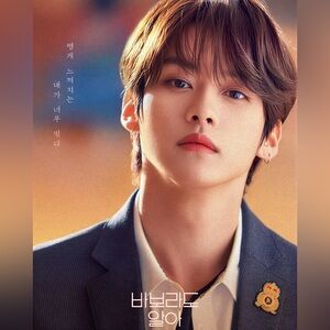 Lee Know 8x10 Poster Stray Kids Bundle Photo Korean Music Home Wall Decor